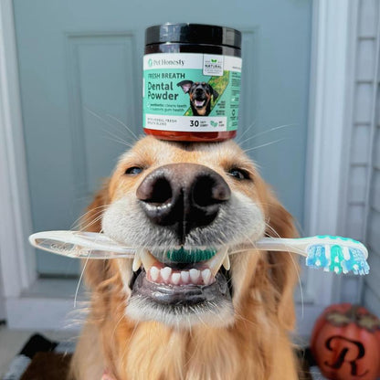 Pet Honesty Dental Powder